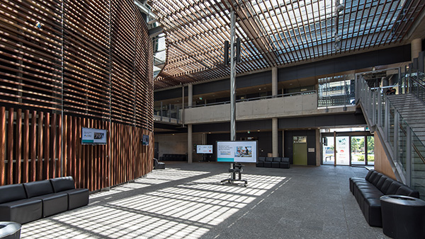 Spacious interior with wooden walls and a grand staircase leading up.