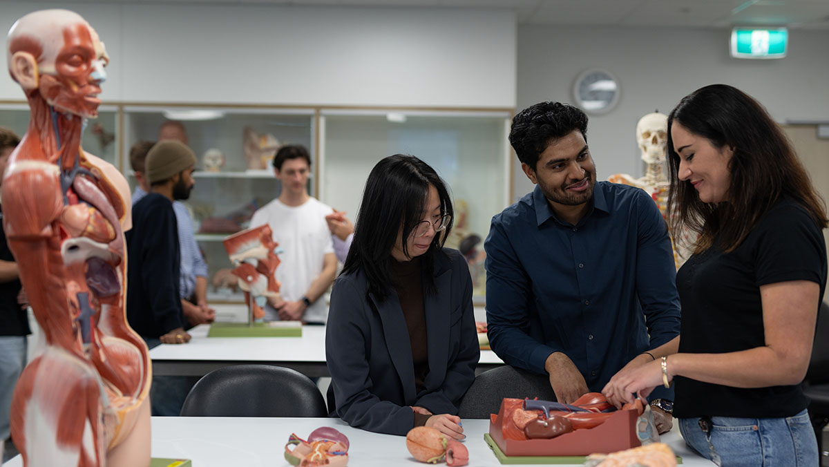 Students looking at a model of the human body